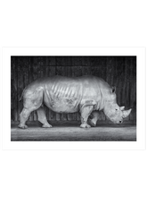 Gergedan - Art Print